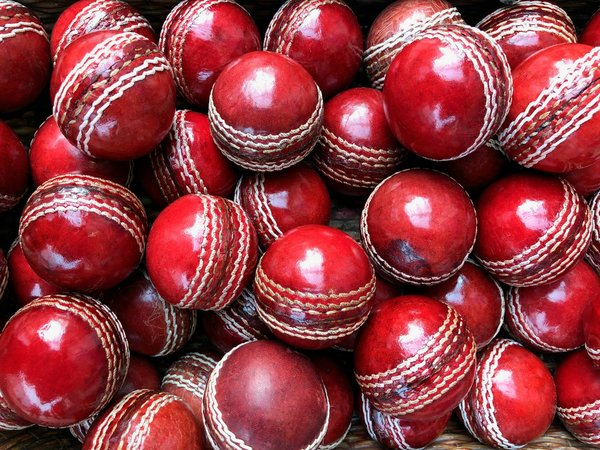 What are the essential tips for attending a traditional British village cricket match?